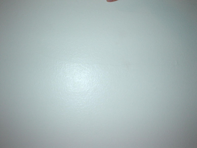 DSC04919